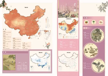 芒种节气原始成图 · 时序色彩缩略图